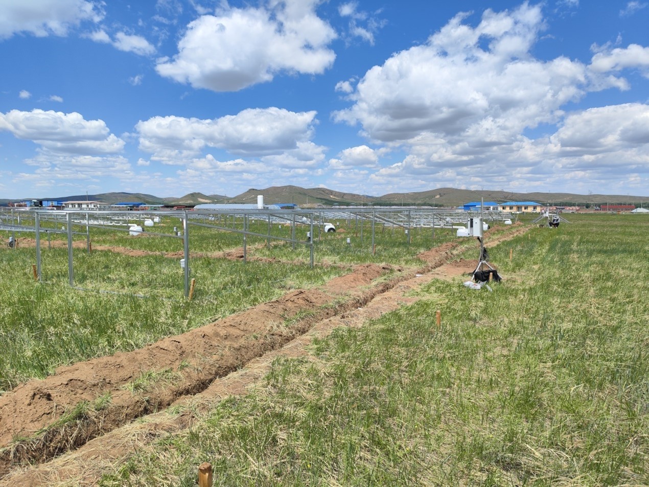 點將土壤與空氣溫濕度監測系統