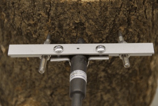 直徑生長測量傳感器