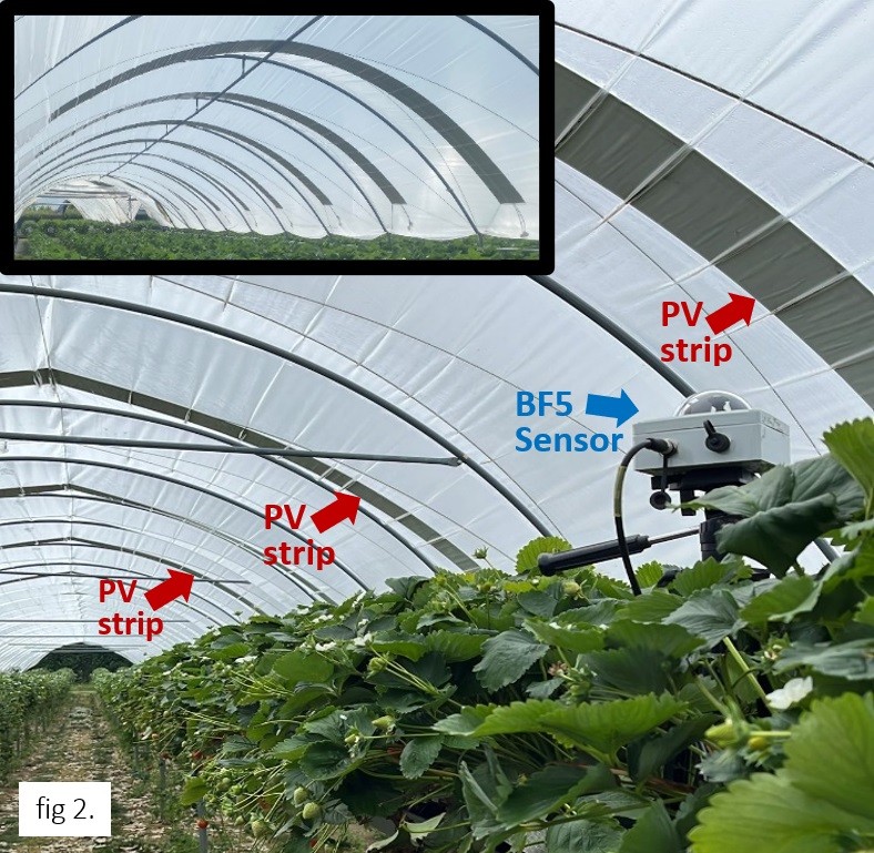 BF5日照輻射傳感器