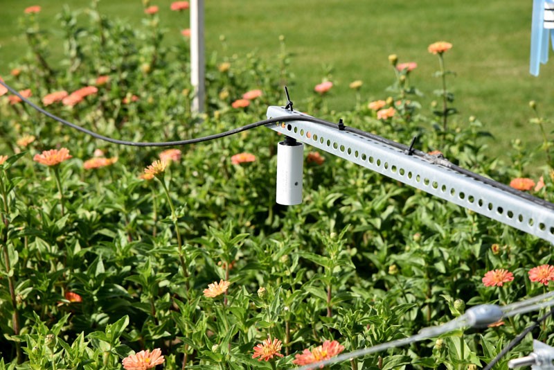 葉片/冠層溫濕度監測